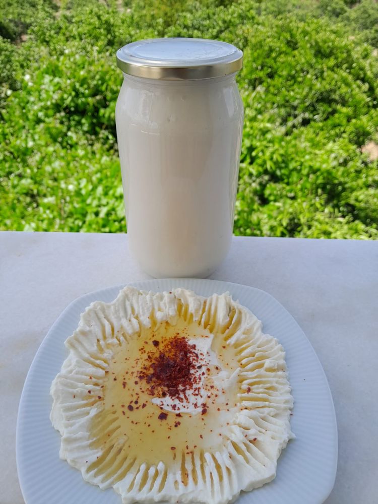 TUZLUYOĞURT (KEÇİ SÜTÜ) (1 KG)